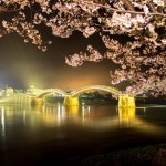 山口県の桜の名所、錦帯橋と吉香公園の桜の見ごろは！？