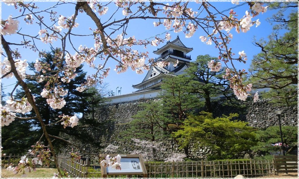 県 桜の 名所 高知 高知県内、３月下旬から見頃に 桜の名所を紹介―桜だより(上)